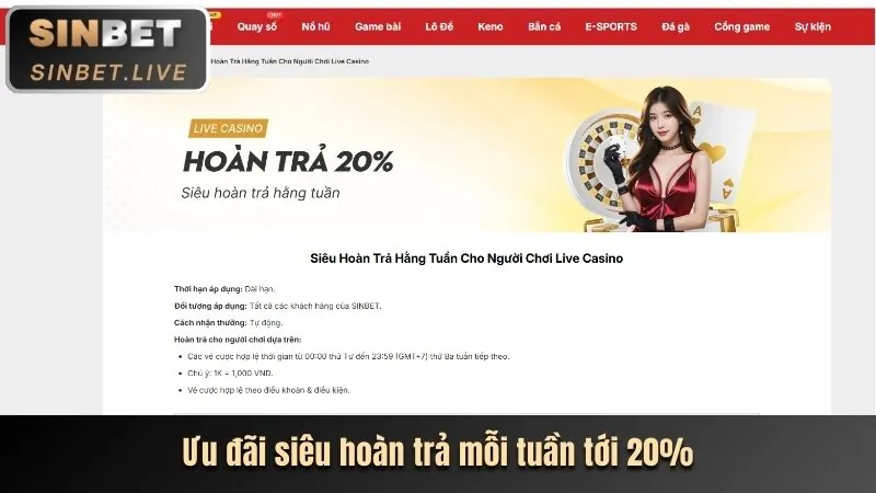 Cá cược thể thao tại VND288